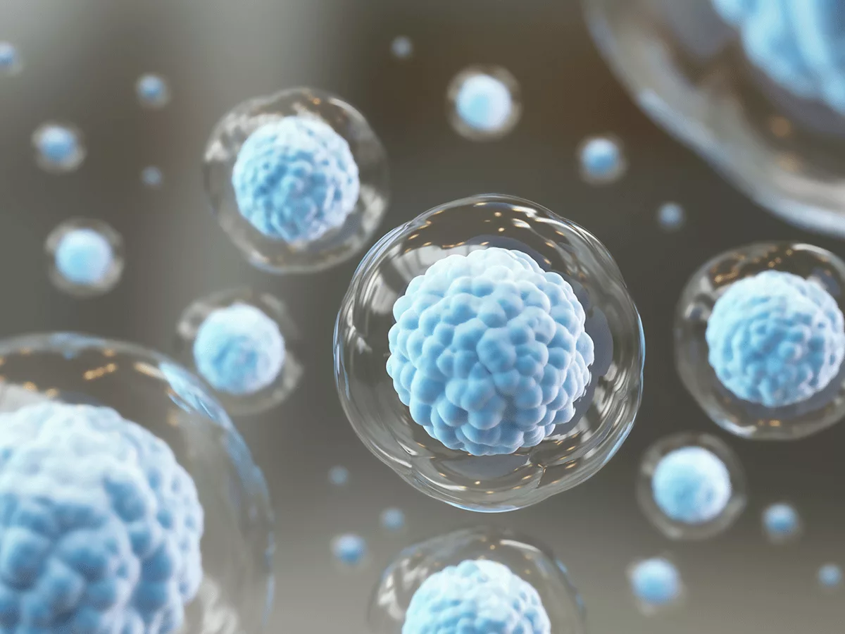 stem cell therapy in sarnia 